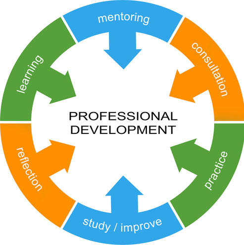 Professional development workshop